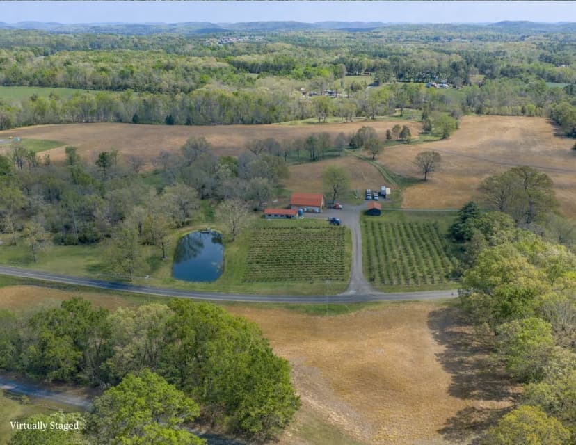 Mountain Creek Farm 