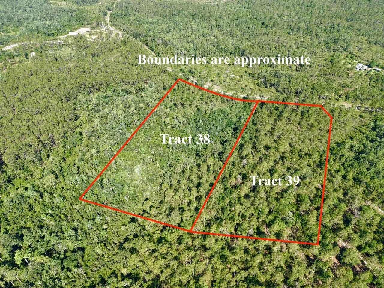 21 Acres in Aucilla Plantation – Build, Explore & Unwind - Greenville, Florida, 32331