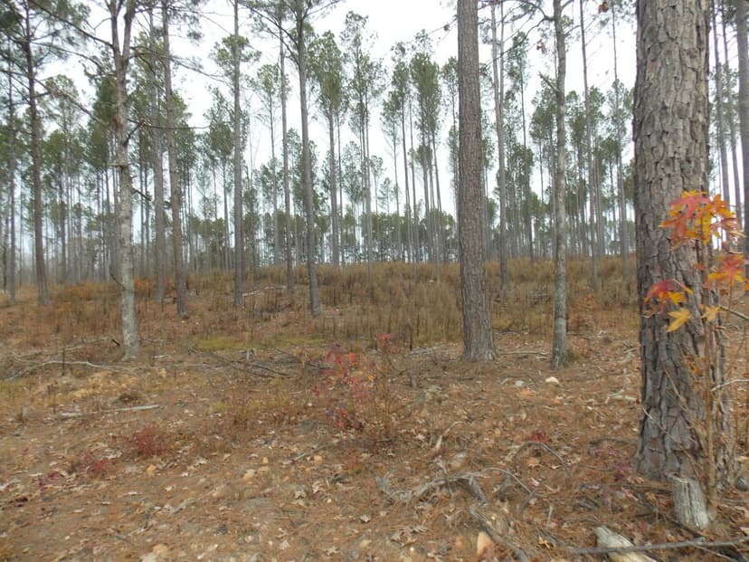 Lots & Land-Other in Lincolnton