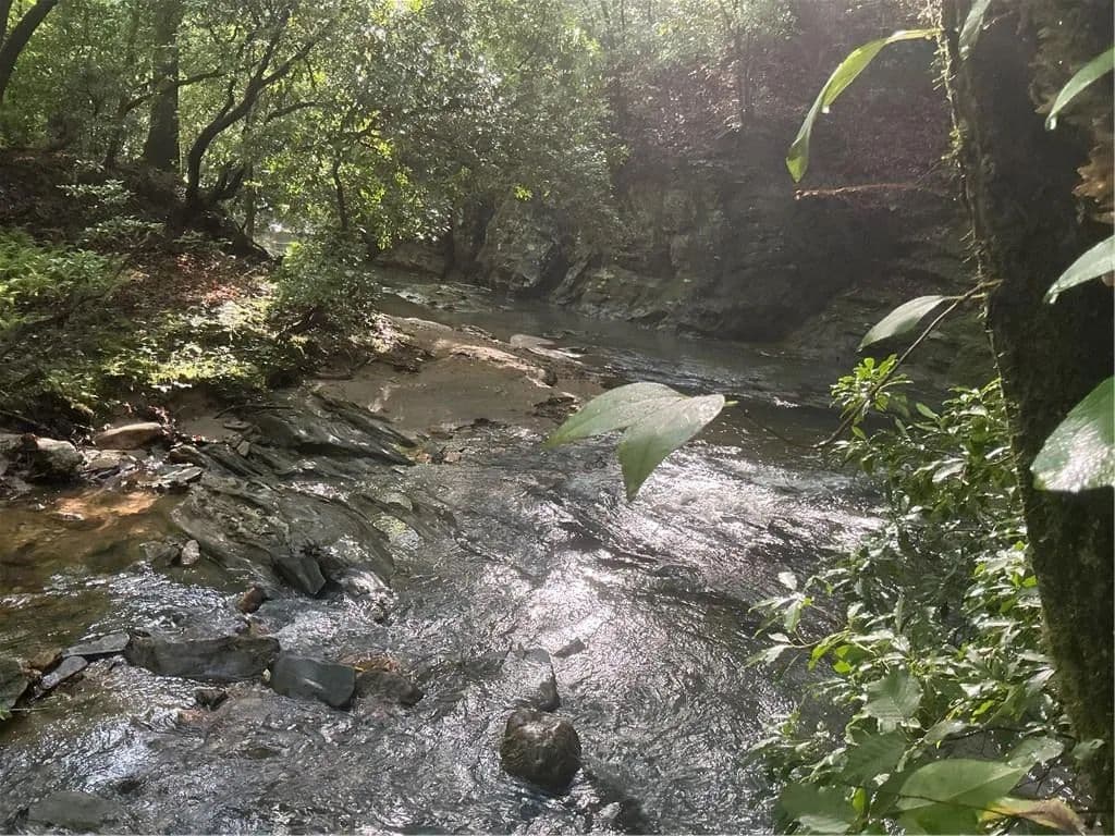18.39 Acres of Land for Sale in Dawsonville, Georgia - Dawsonville, Georgia, 30534