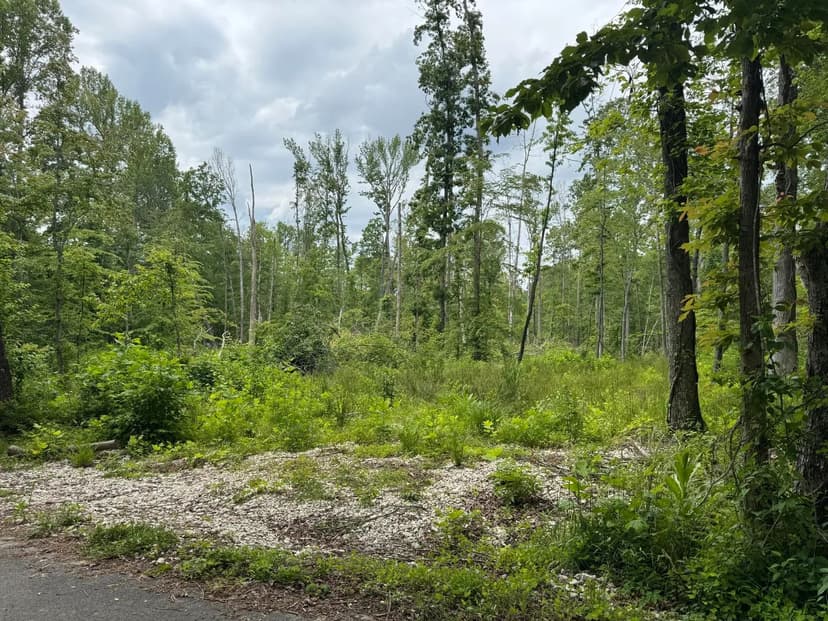 Property from 0 Bentley Day Road - KW