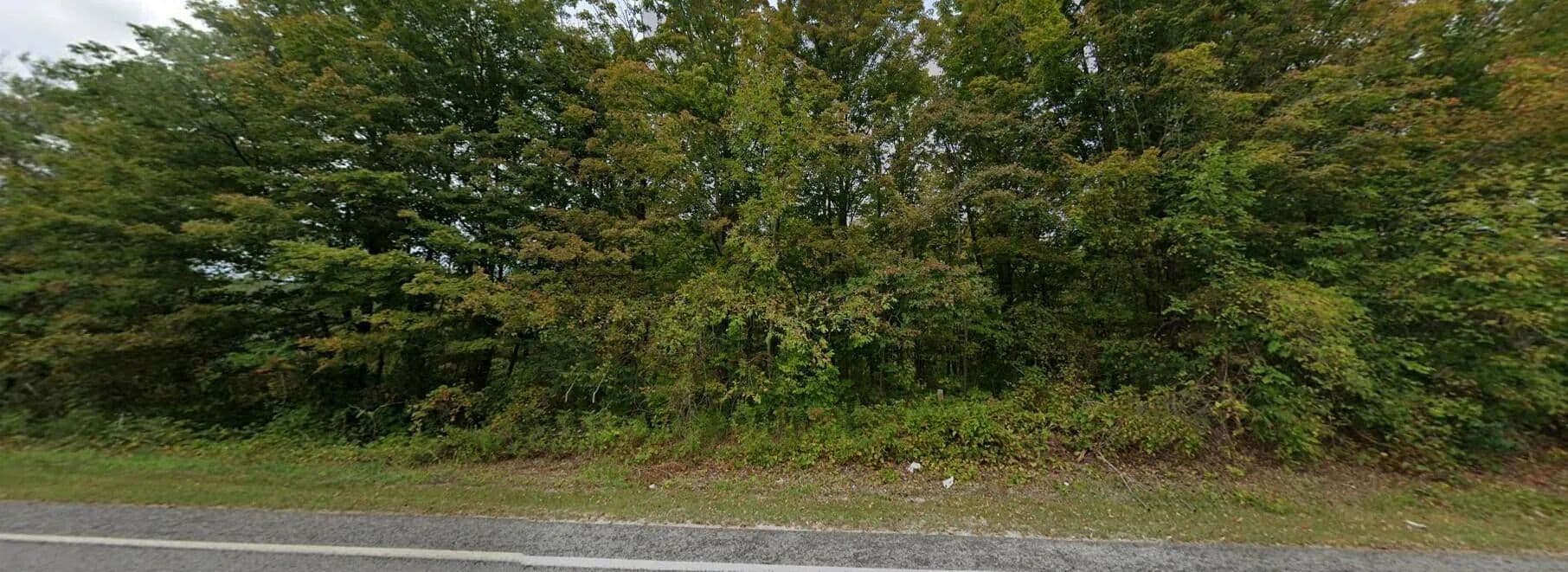 Vacant Land in Fennville - Fennville, Michigan, 49408