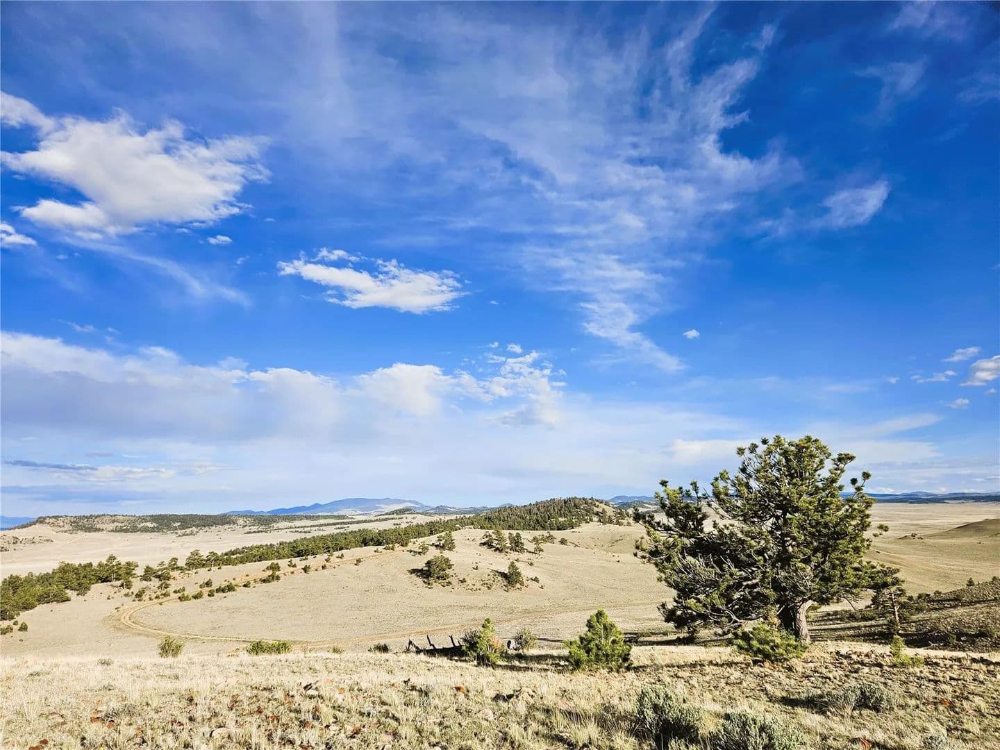 10.1 Acres of Land for Sale in Hartsel, Colorado - Hartsel, Colorado, 80449