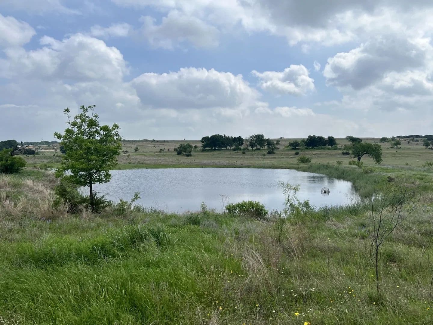 20.22 Acres of Land for Sale in Kempner, Texas - Kempner, Texas, 76539