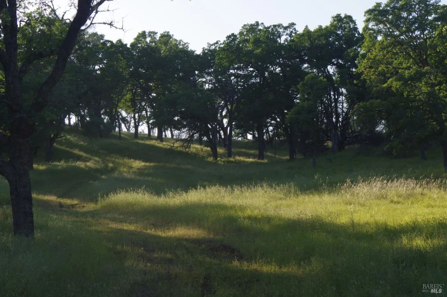 Vacant Land in Napa - Napa, California, 94558