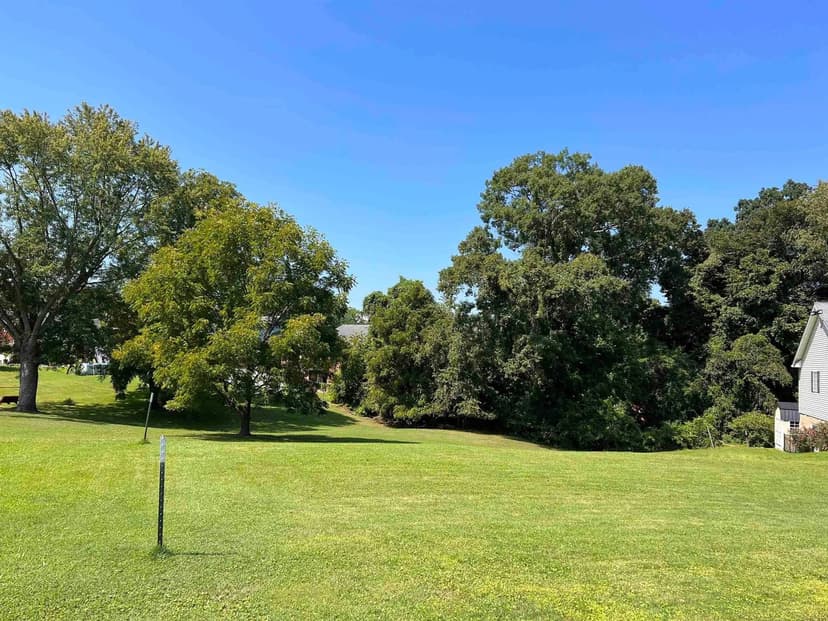 Lots & Land-Other in flatwoods