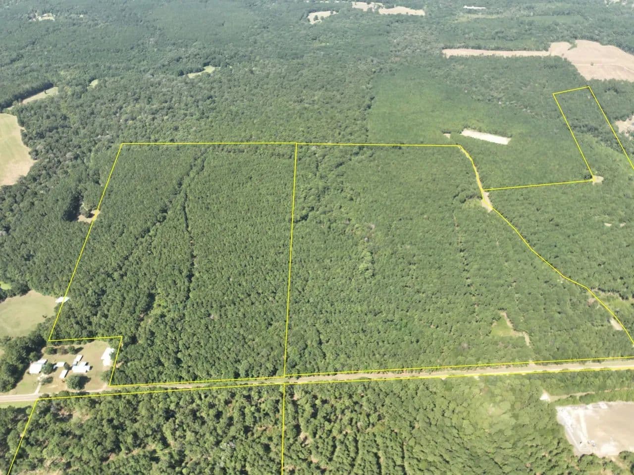 55 Acres | T-4 | FM 256 - Woodville, Texas, 75979