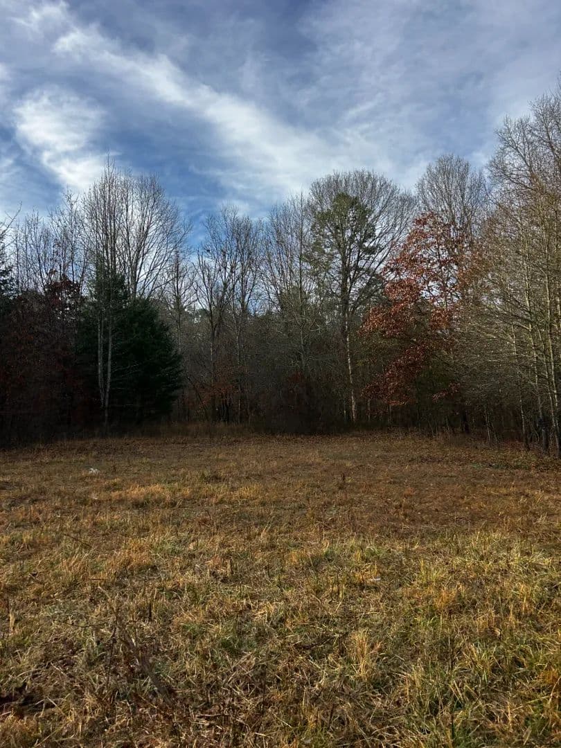 12.90 Acres [Tract 5] in Montgomery County, AR