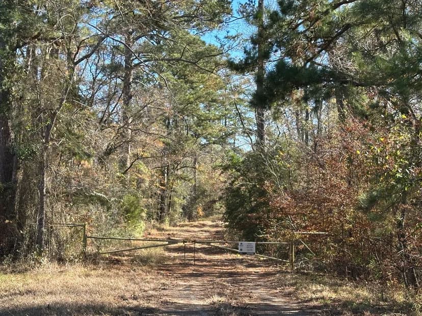 Neches Refuge West Tract