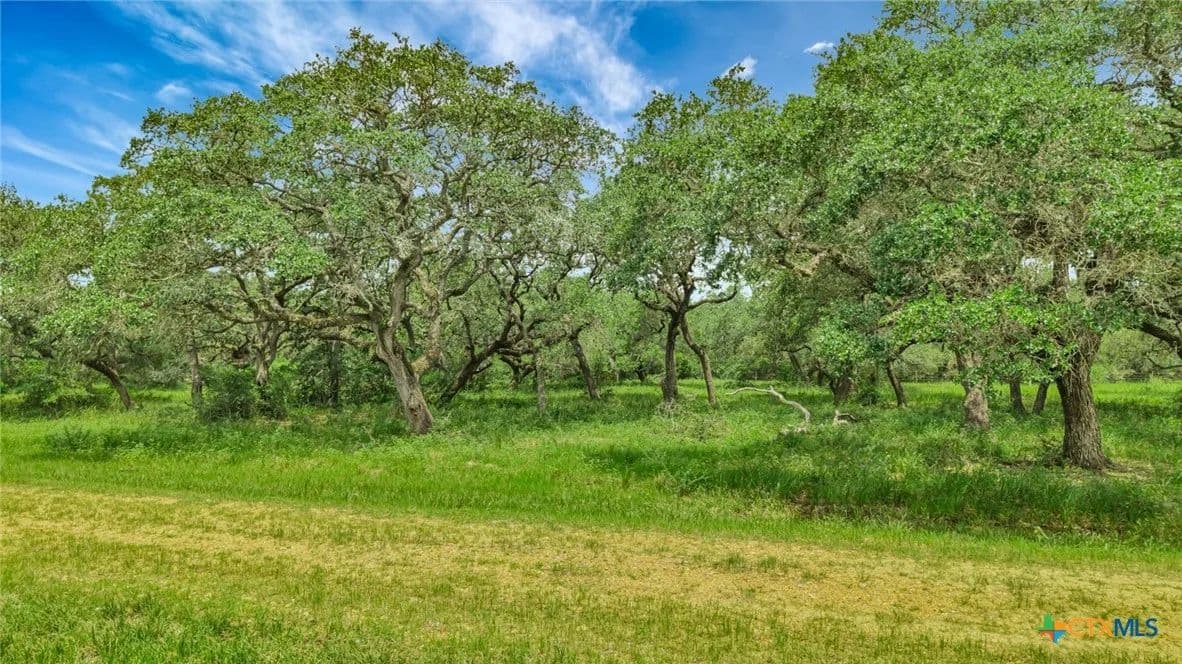 Vacant Land in Inez - Inez, Texas, 77968
