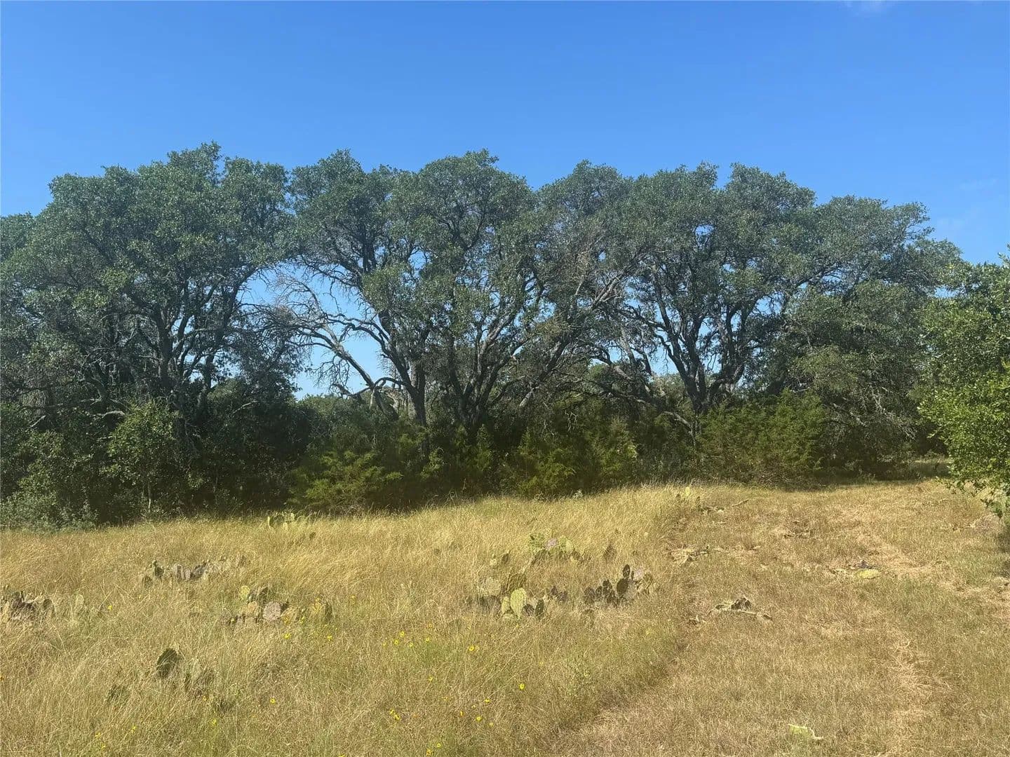 Vacant Land in Burnet - Burnet, Texas, 78611