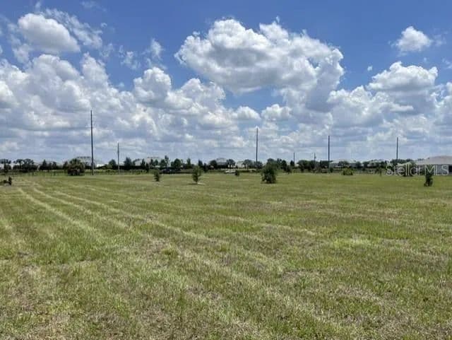 2.5 Acres of Land for Sale in ODESSA, FL - Odessa, Florida, 33556