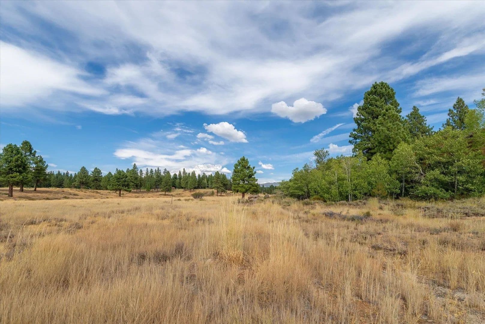 Vacant Land in Truckee - Truckee, California, 96161