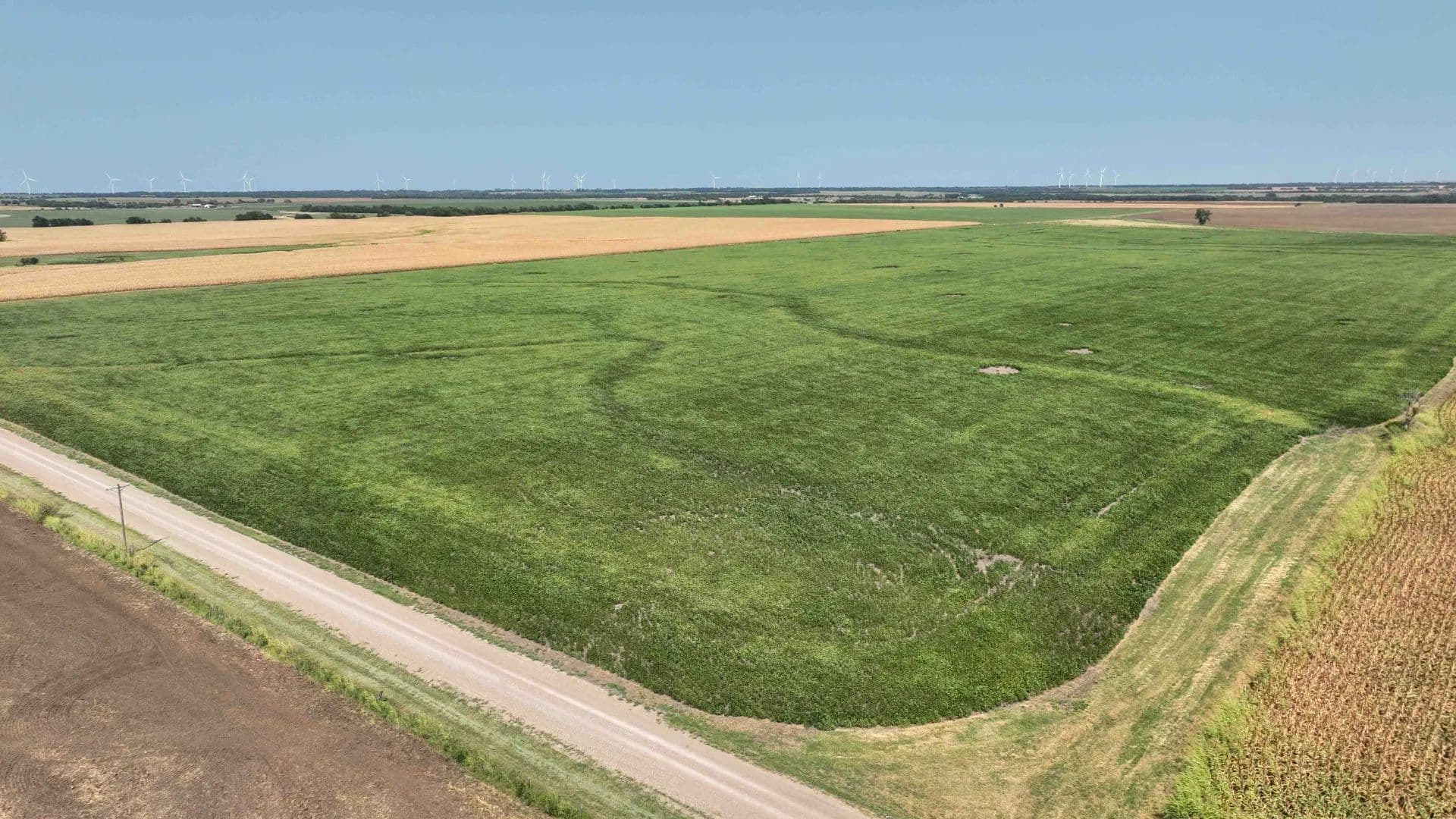 81± Acres Cropland, Class II Soils & More - Tract 4 of 5 - South Haven, Kansas, 67140