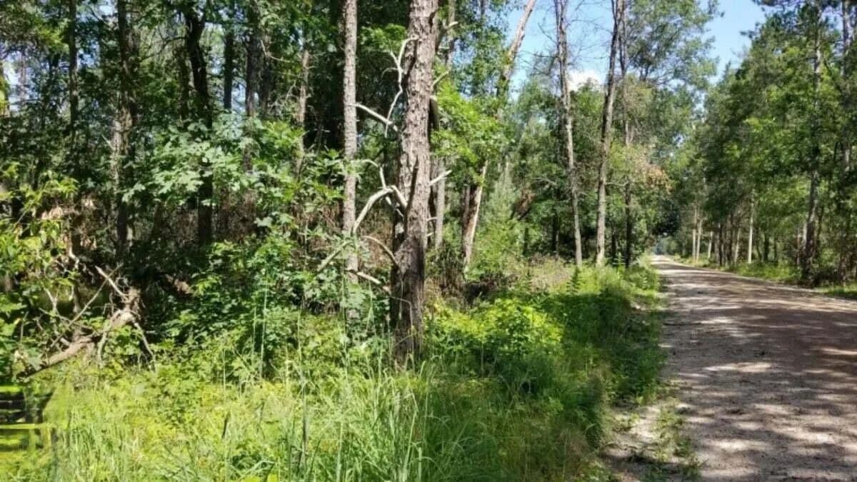 Property from Parcel 4 Grove Street - KW - Baldwin, Michigan, 49304