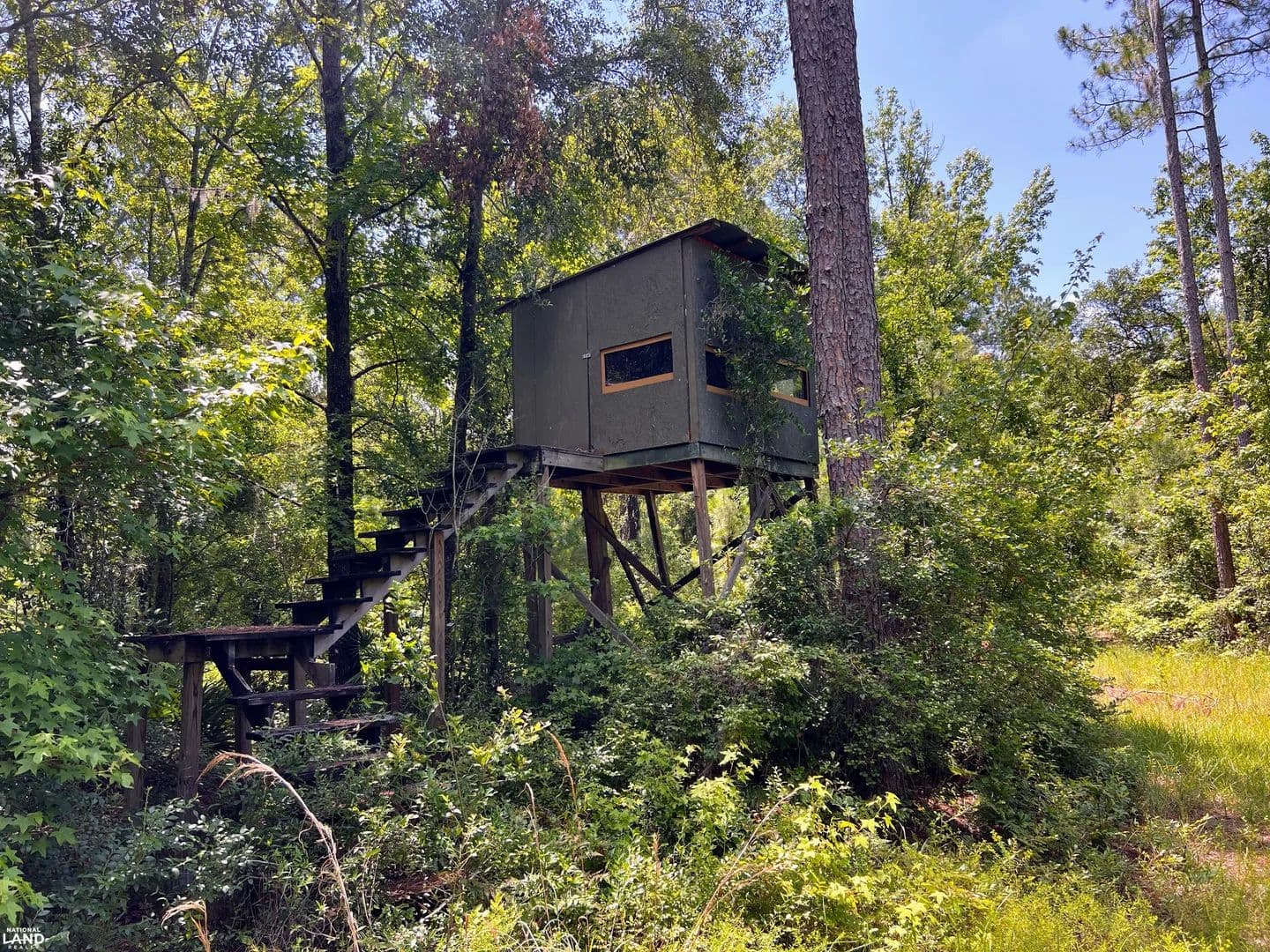 White Springs Hidden Gem - White Springs, Florida, 32096