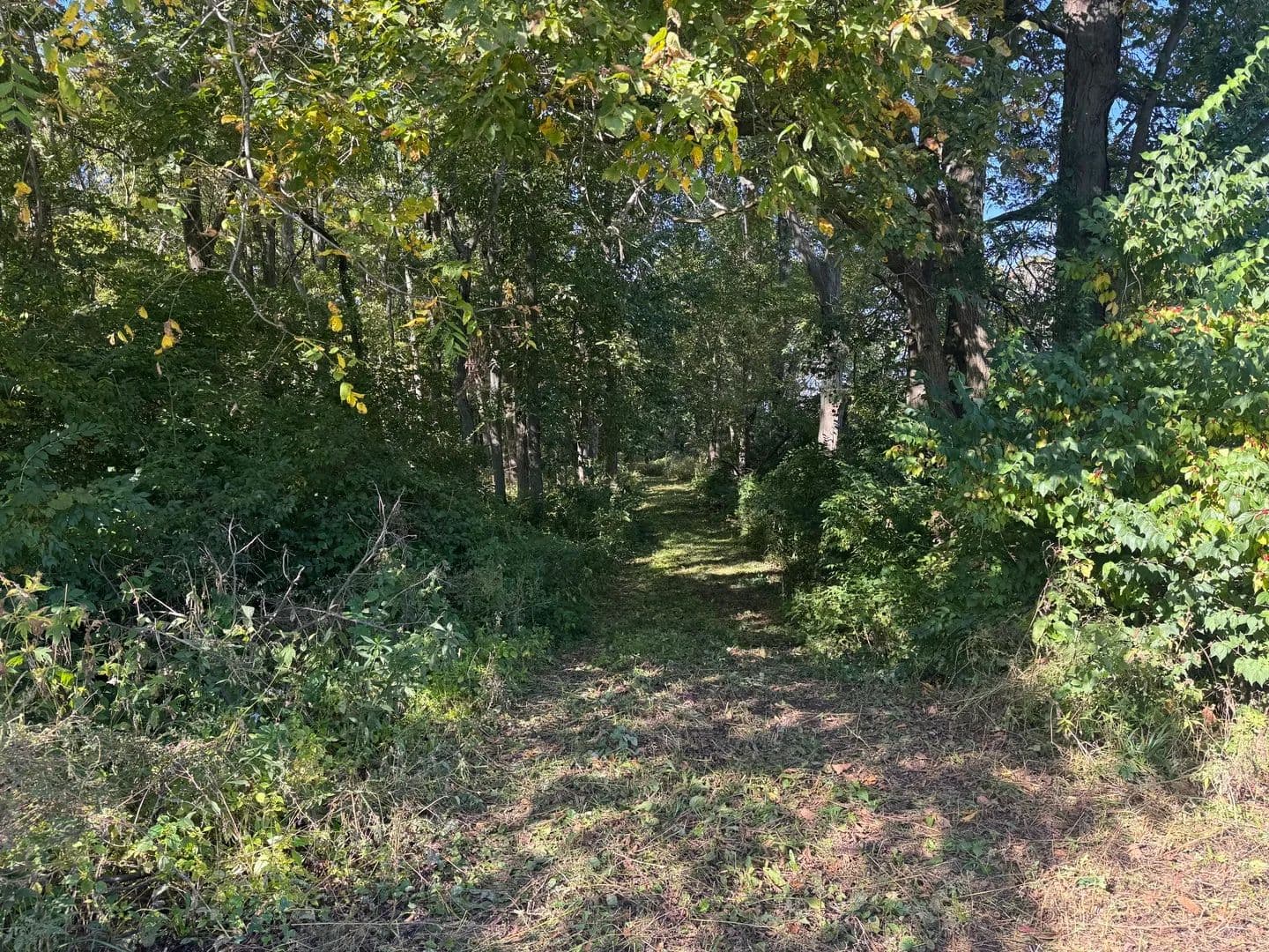 5.78 Acres of Land for Sale in Sadorus, IL - Sadorus, Illinois, 61872