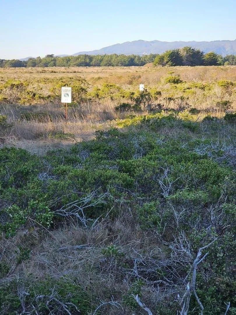 Vacant Land in Half Moon Bay - Half Moon Bay, California, 94019
