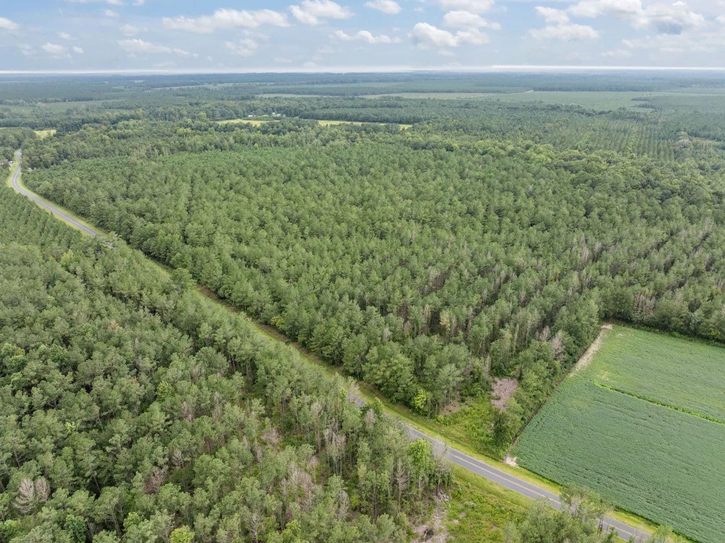 42-Acre Timber & Hunting Land for Sale in Edward, NC - Edward, North Carolina, 27821