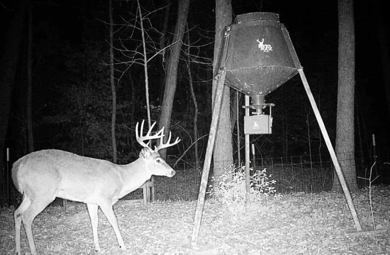 Cossatot Retreat - Lockesburg, Arkansas, 71846