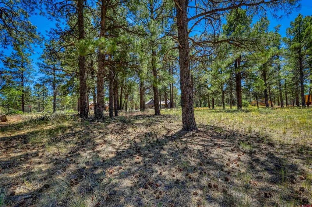 0.35 Acres of Land for Sale in Pagosa Springs, CO - Pagosa Springs, Colorado, 81147