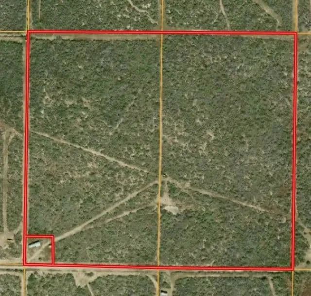 50 Acres of Land for Sale in San Diego, Texas - San Diego, Texas, 78384