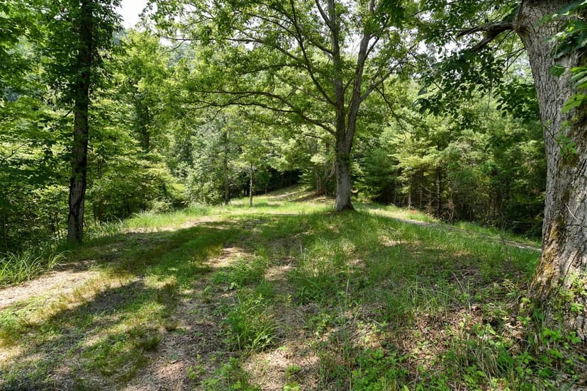 Vacant Land (0-10 Acres) in Marshall