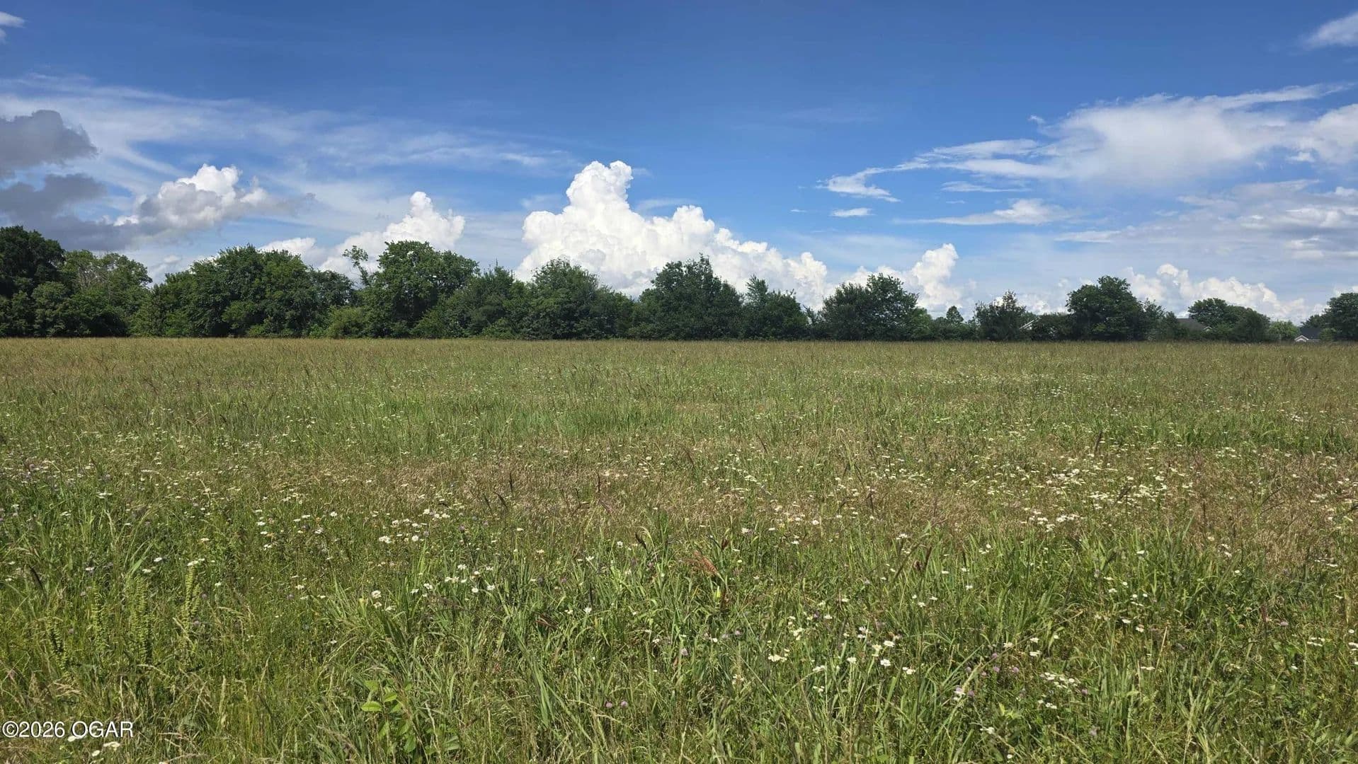 Property from XXX S Ali Cat Drive - KW - Carthage, Missouri, 64836