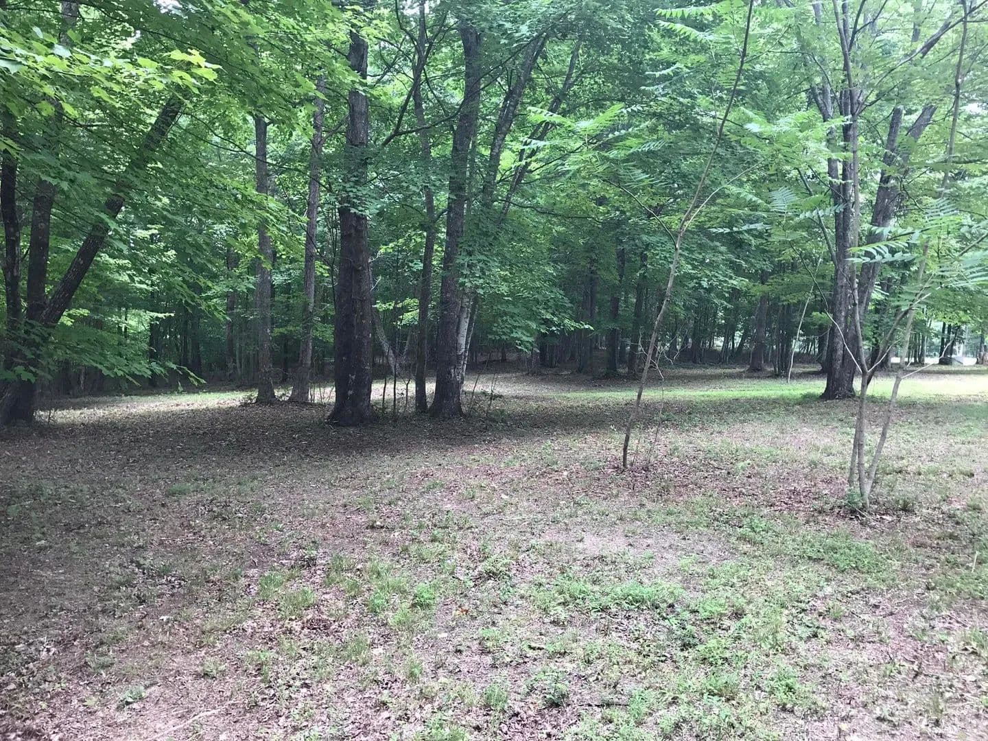 Land -Agricultural (Not Zoned) in Dunlap - Dunlap, Tennessee, 37327