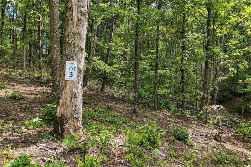 Vacant Land in Ellijay - Ellijay, Georgia, 30540