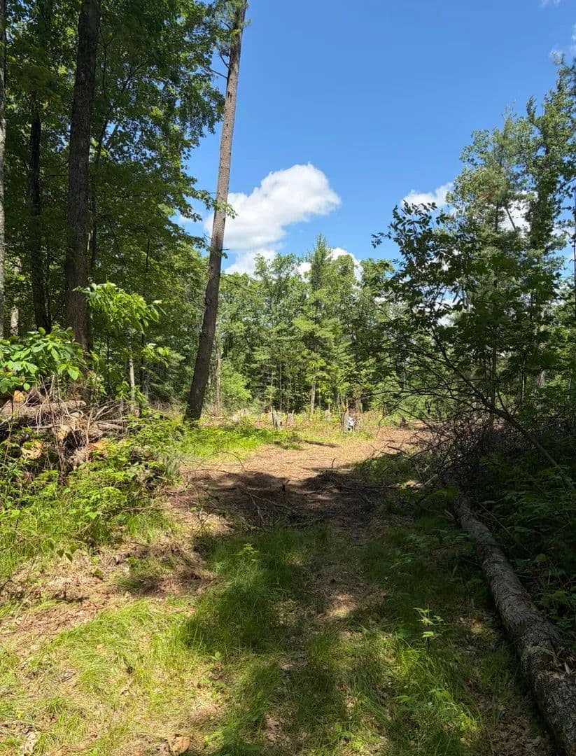 Lots & Land-Other in Howard City - Howard City, Michigan, 49329