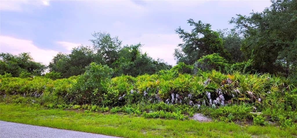 Vacant Land in Port Charlotte - Port Charlotte, Florida, 33981
