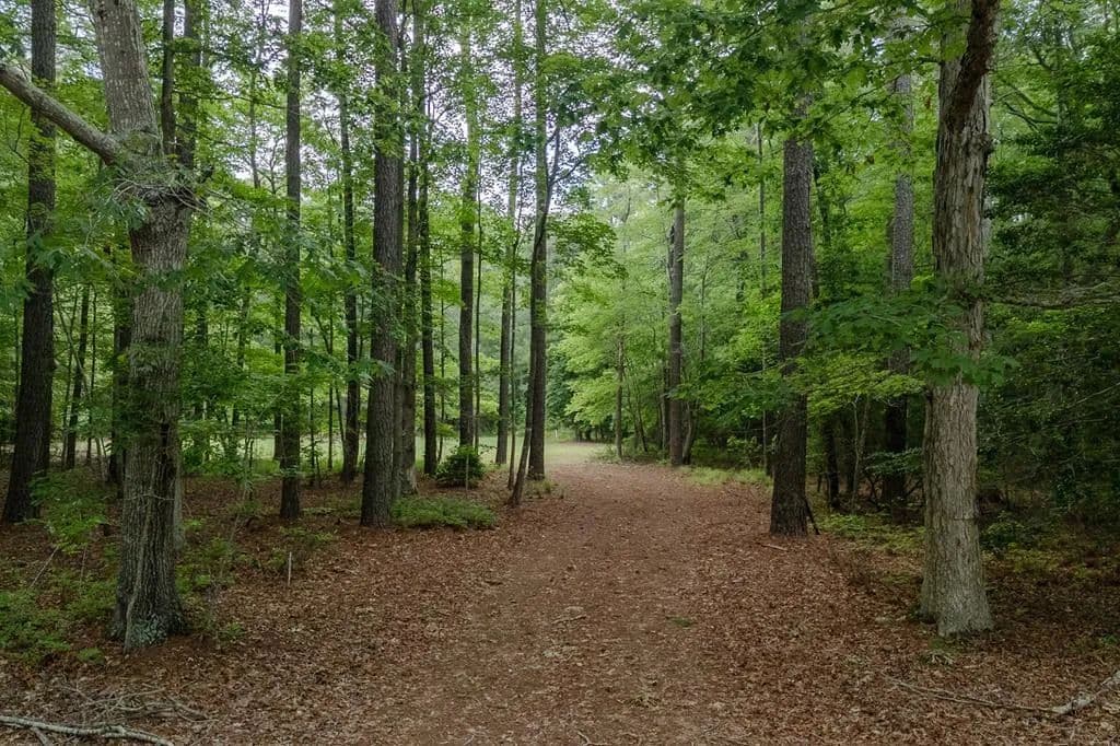 Land -Single Family Acreage in Jamesville - Jamesville, Virginia, 23398