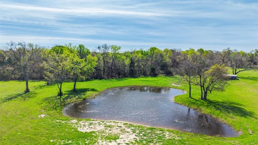 Premier location on 16 Acres with Pond & Improved Pastured!