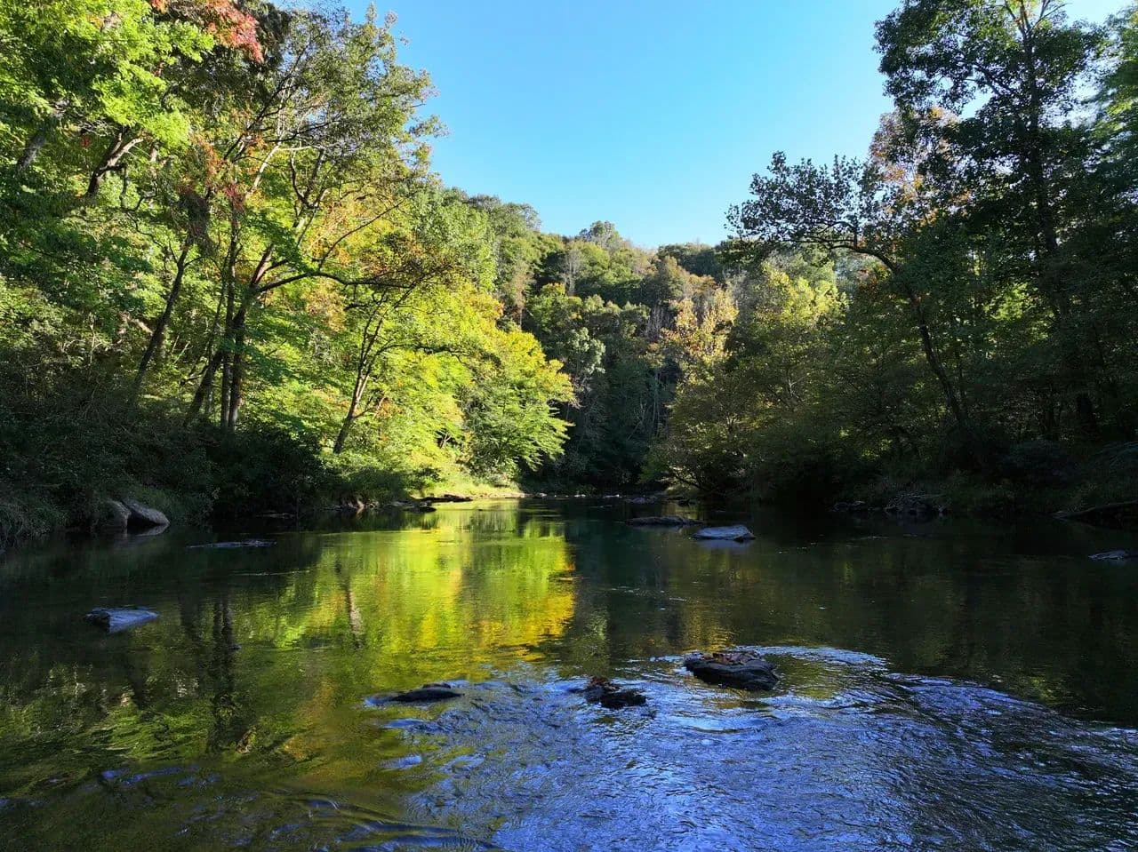 Smith River Solitude: 22.5+/- Wooded Acres with Cabin and Smith River Access - Stuart, Virginia, 24171