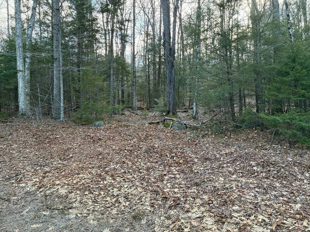 Lots & Land-Other in Rowe - Rowe, Massachusetts, 01367