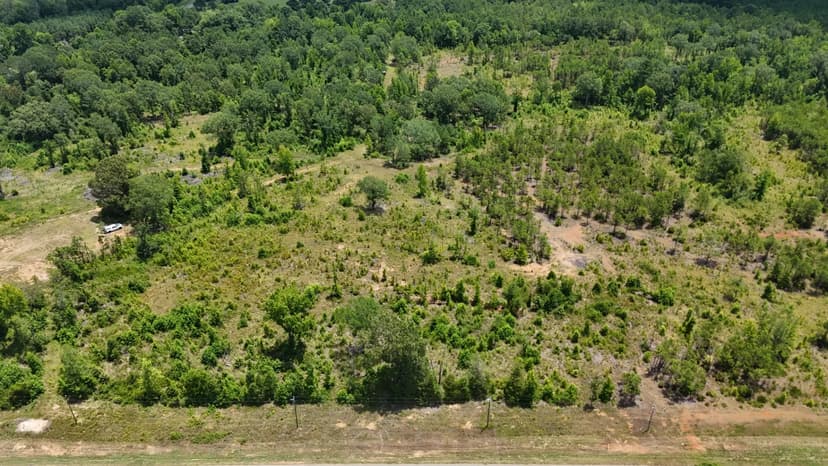12.5 Acres in Lincoln Parish, LA 
