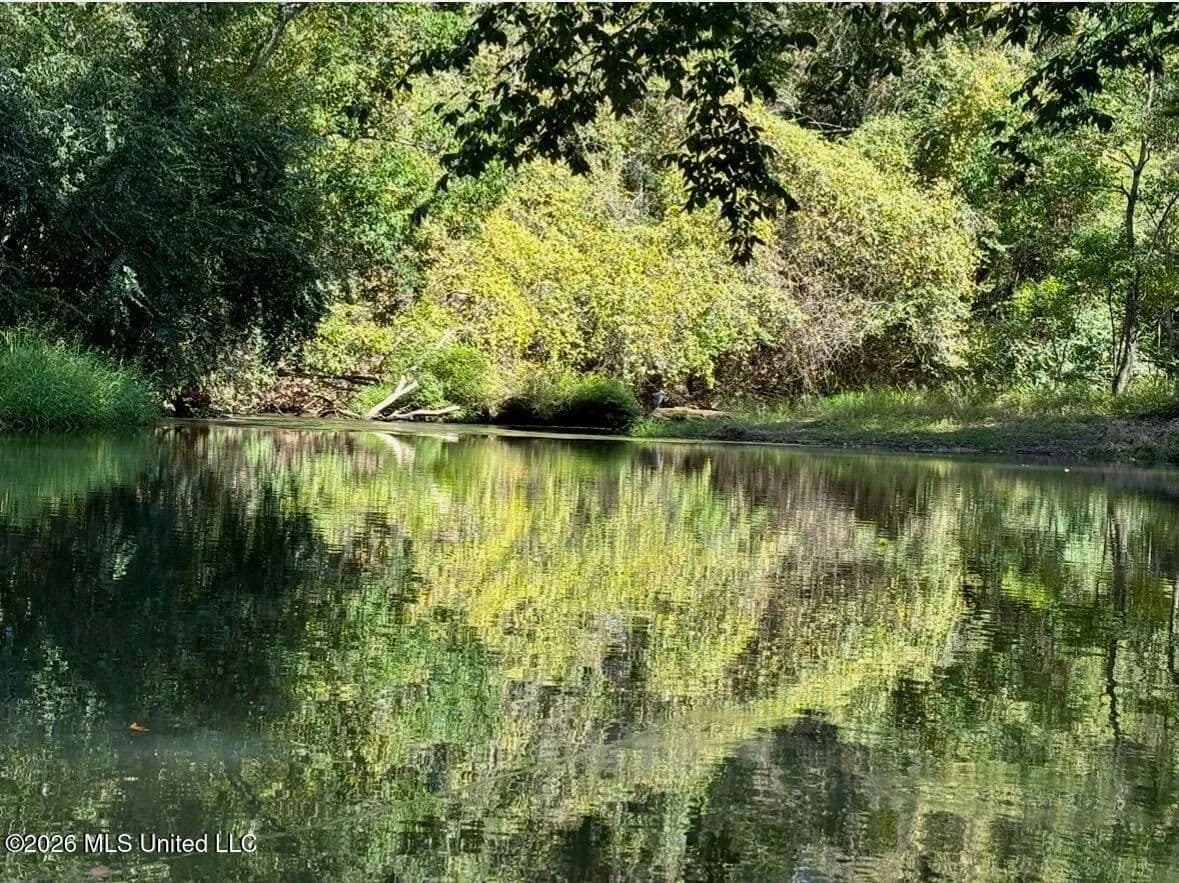 150 Acres for Sale in Magnolia MS on Tangipahoa River - Magnolia, Mississippi, 39652