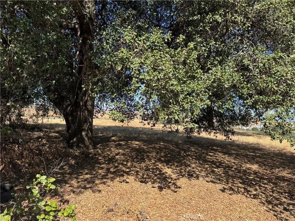 Lots & Land-Other in Calimesa - Calimesa, California, 92320