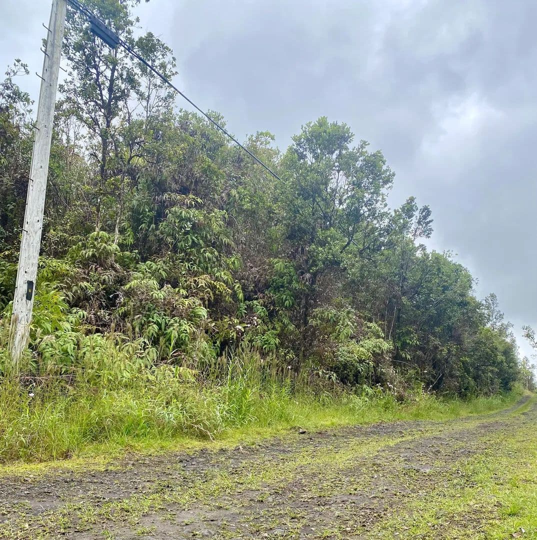 Vacant Land in Mountain View - Mountain View, Hawaii, 96771