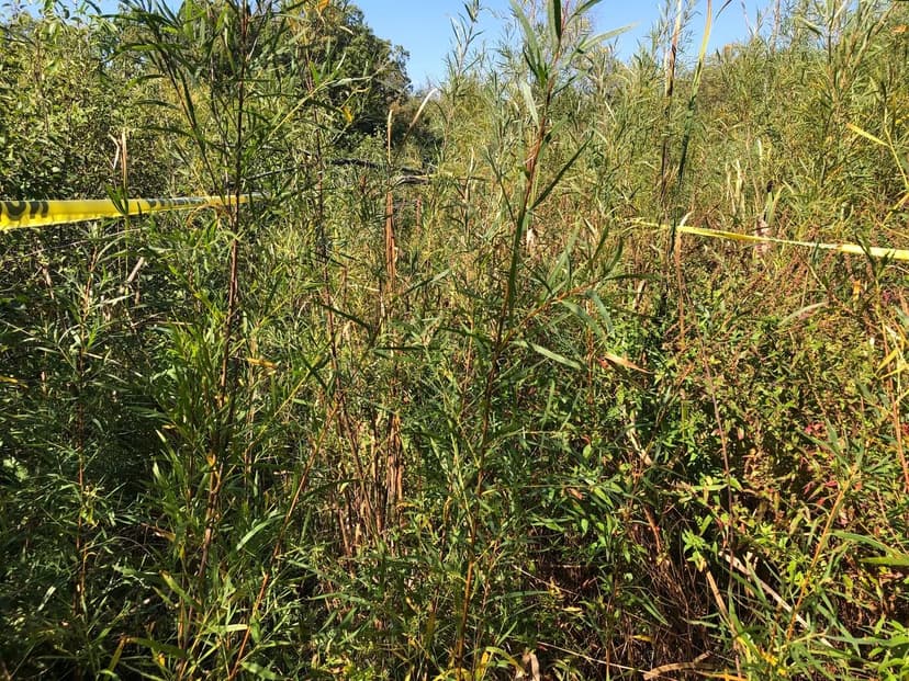 Vacant Land in Libertyville