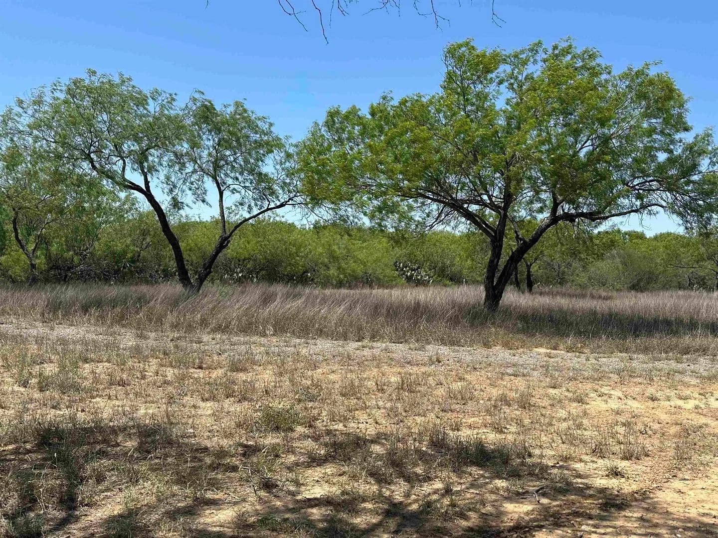 Vacant Land in Laredo - Laredo, Texas, 78045
