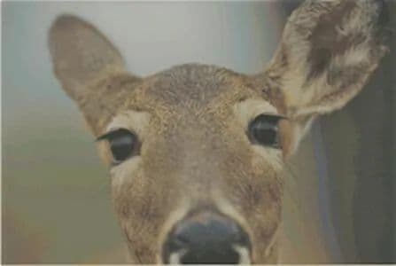 Vacant Land in Clifton Township