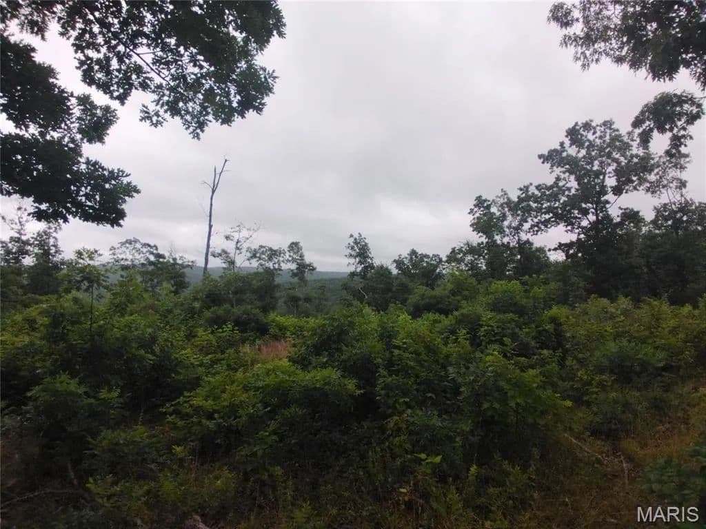 Property from 12 Tract 12 - KW - Belleview, Missouri, 63623