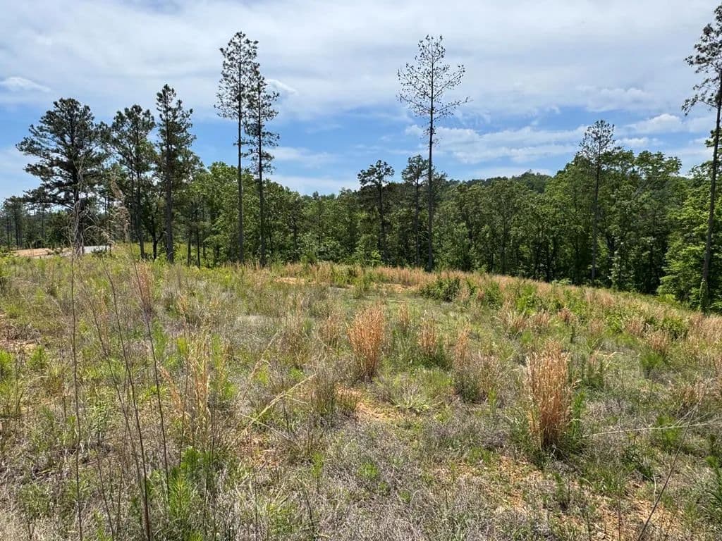 Lots & Land-Other in Talking Rock - Talking Rock, Georgia, 30175