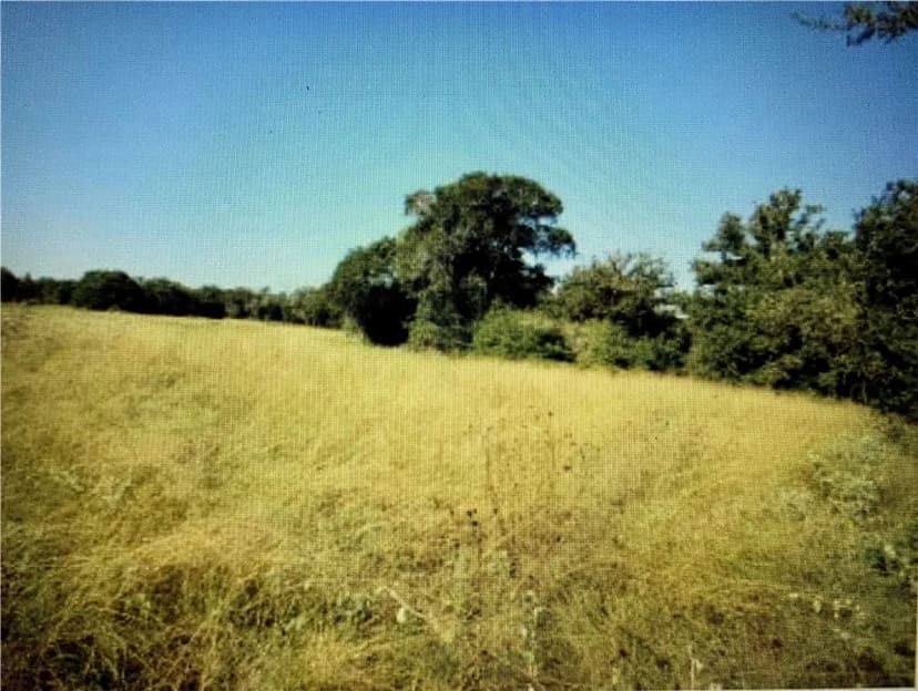 Property from TBD FM 619 #Tract 601 - KW