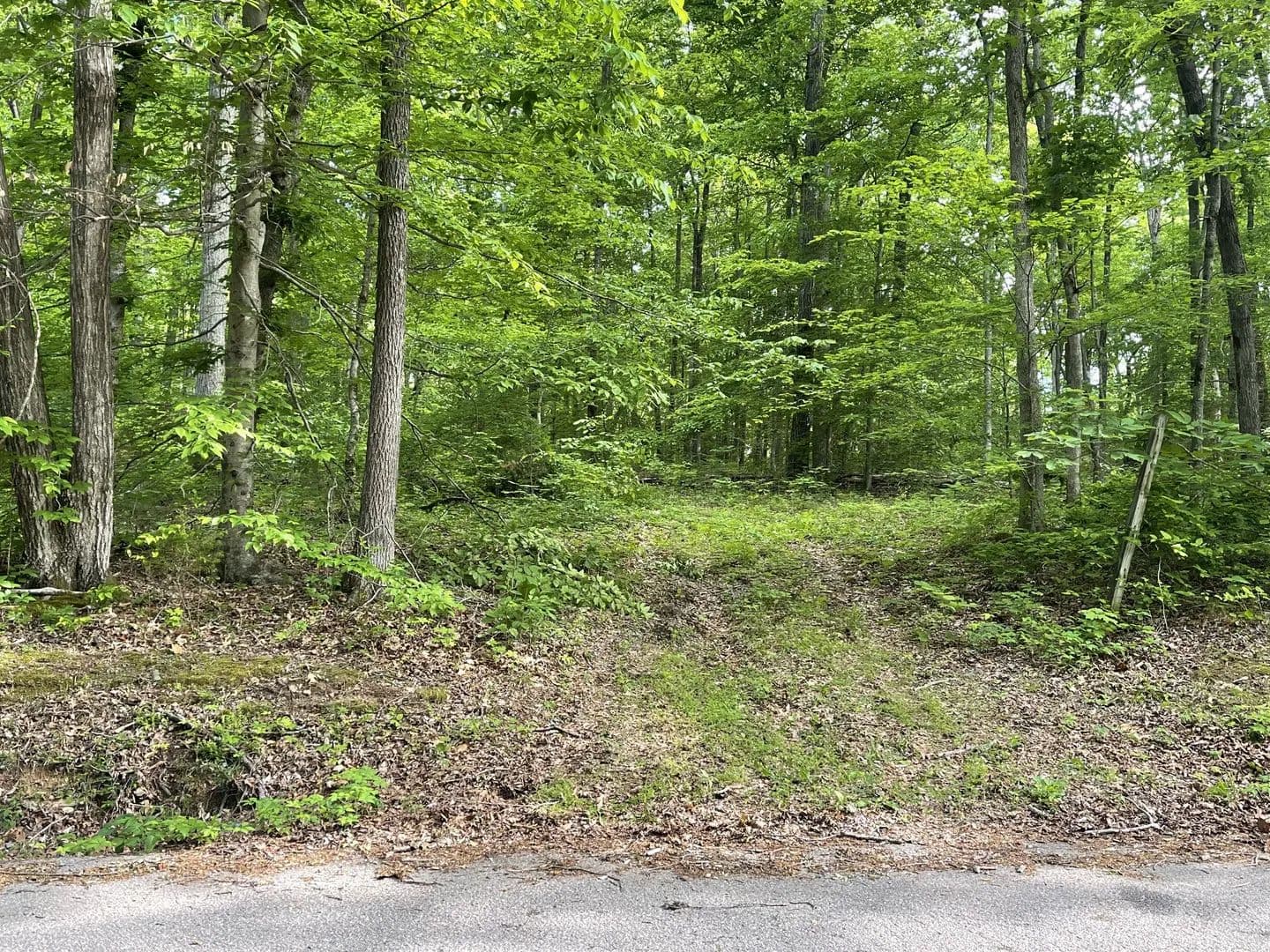 5.23 Acres of Land for Sale in Franklin, TN - Franklin, Tennessee, 37064
