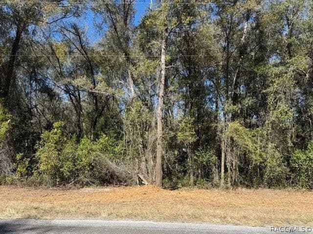 Lots & Land-Other in Hernando - Hernando, Florida, 34442