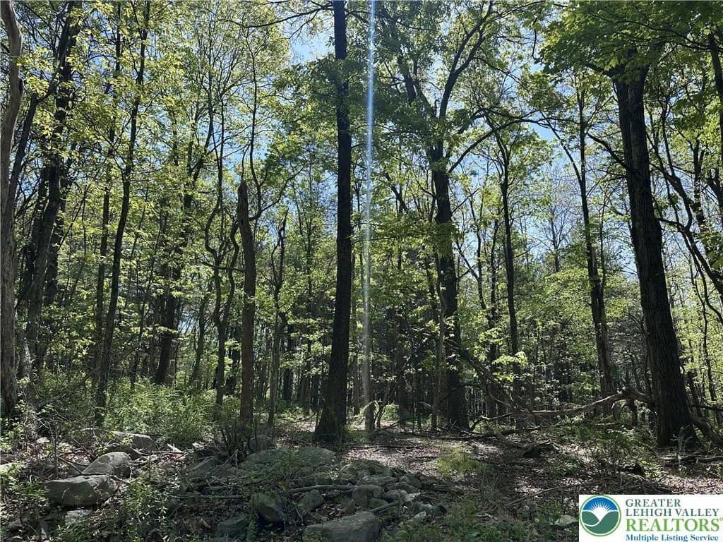 Property from T 420 Little Mexico Rd - KW - Pennsylvania, 18353