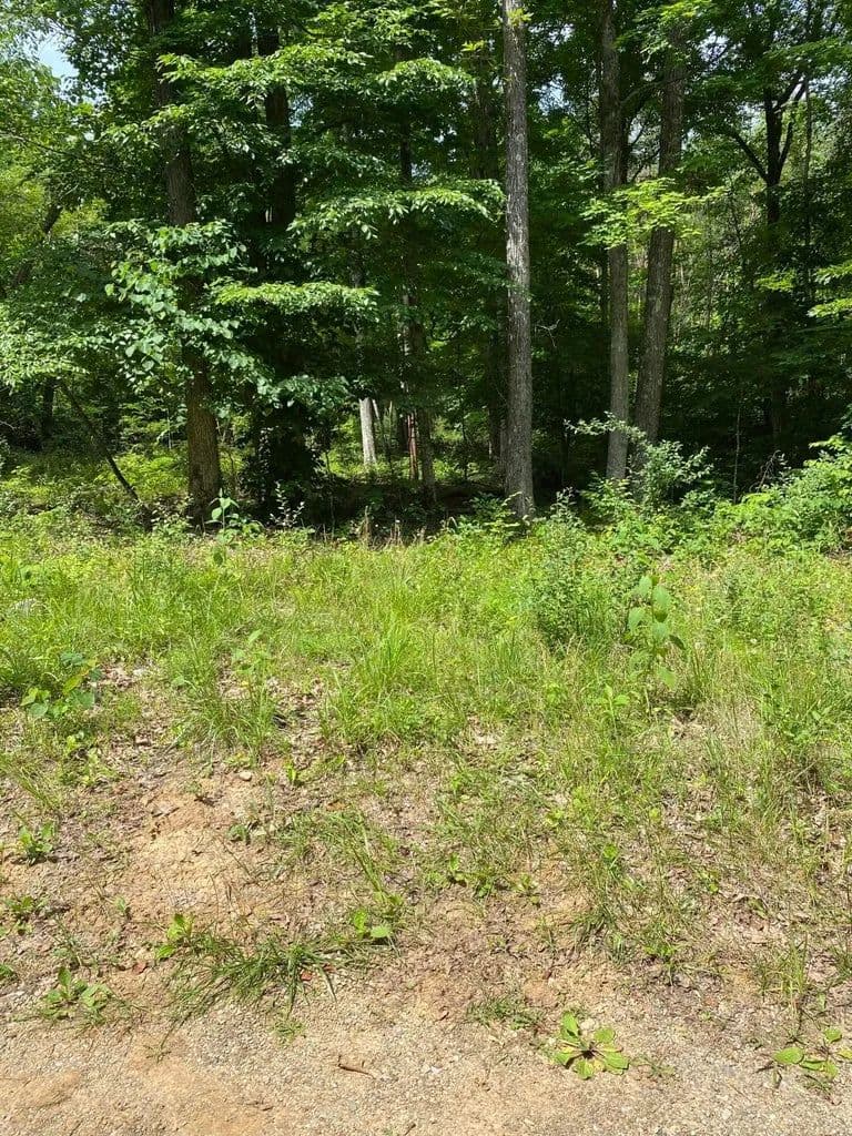 Land -Agricultural (Not Zoned) in Burnside - Burnside, Kentucky, 42519